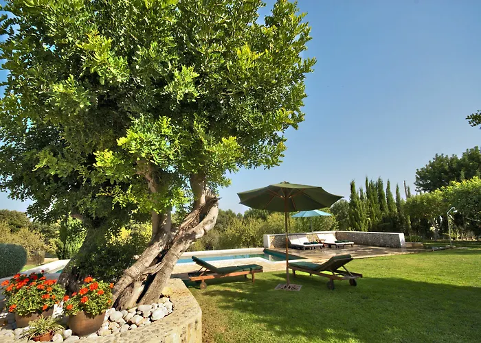 Finca Alzina