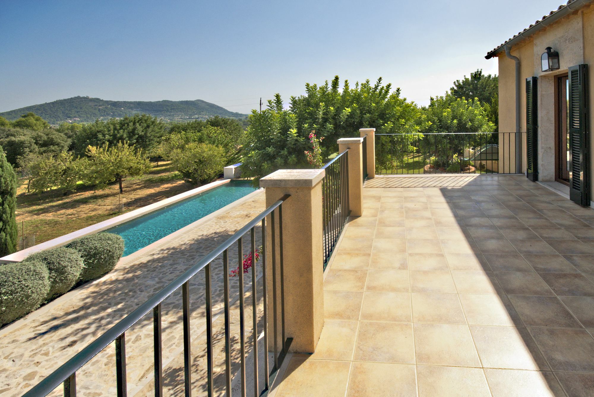Alzina * Selva (Mallorca)
