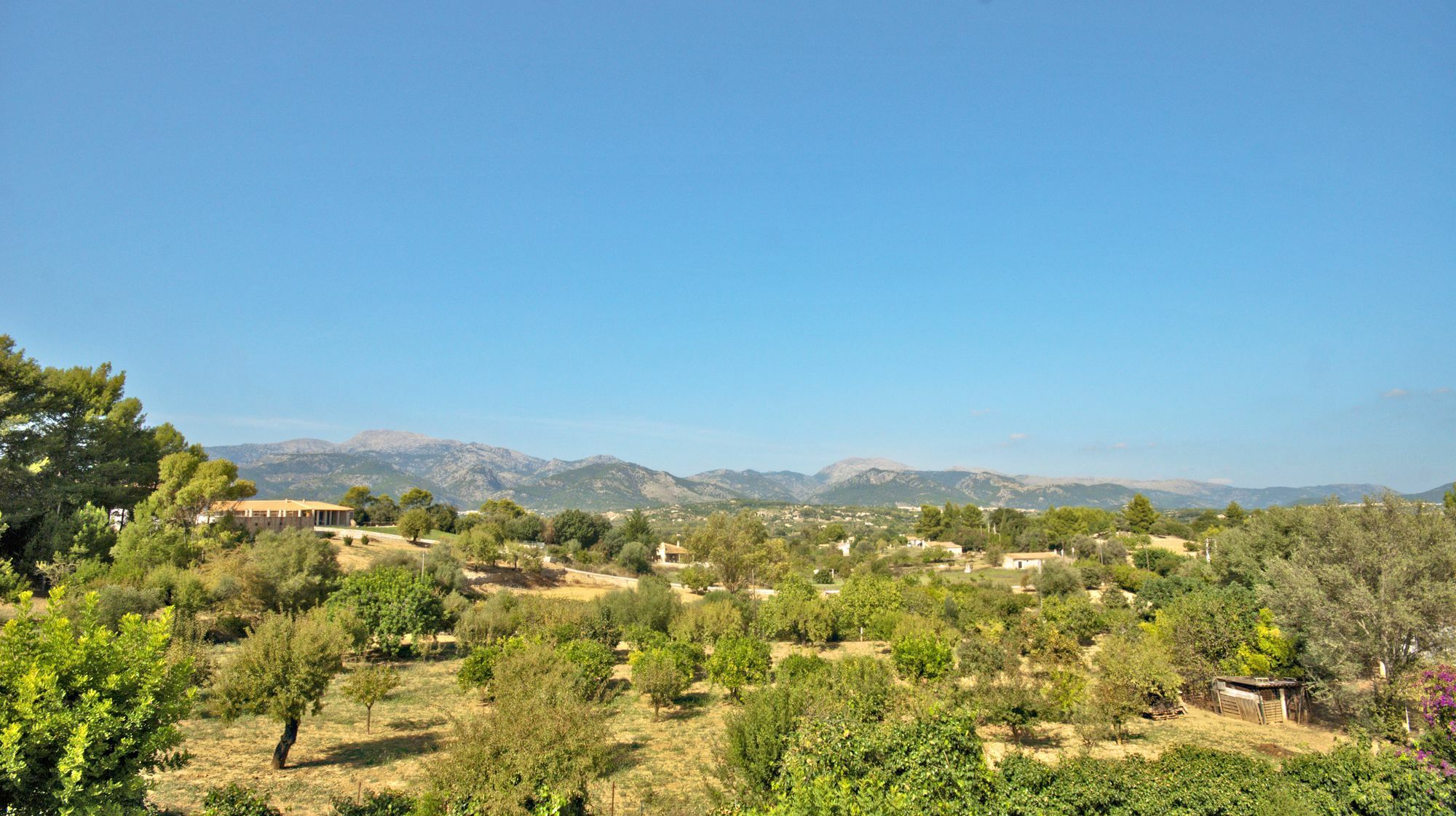 Villa Alzina *